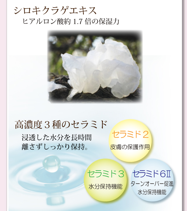 オールインワンゲル