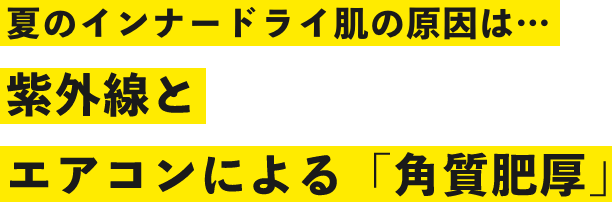 夏のインナードライ肌の原因は…紫外線とエアコンによる「角質肥厚」