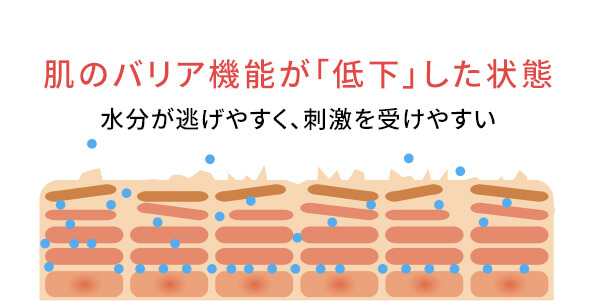 肌のバリア機能が「低下」した状態：水分が逃げやすく、刺激を受けやすい